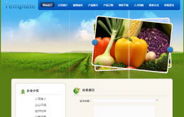 云南新华电脑学院官方网站 融合地域特色与现代美学的网页设计典范